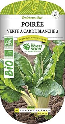 Poirée Verte à Carde Blanche 3 Bio