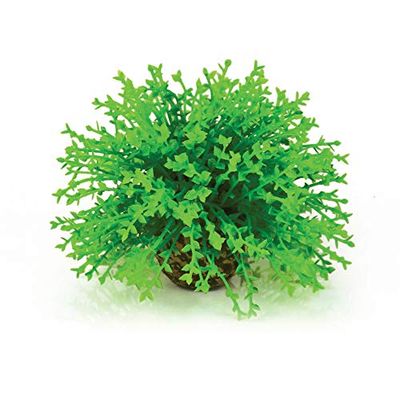 biOrb Boule florale verte