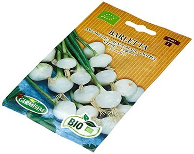 Germisem Bio Graines Oignon blanc BARLETTA Multicolore ECBIO1007