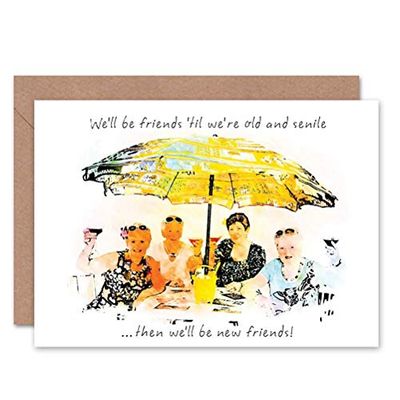 NEW FRIENDS SENILE BIRTHDAY ART GREETINGS GREETING CARD GIFT