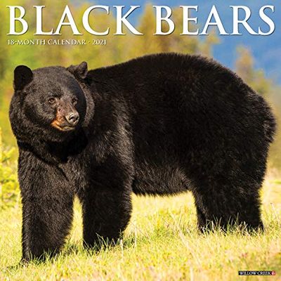 Black Bears 2021 Calendar