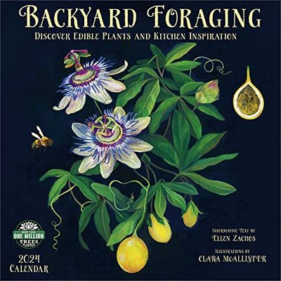 Backyard Foraging 2024 Calendar: Discover Edible Plants and Kitchen Inspiration