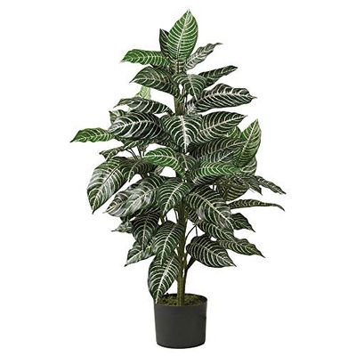 Nearly Natural Zebra Silk Plant, Green 3 ft.