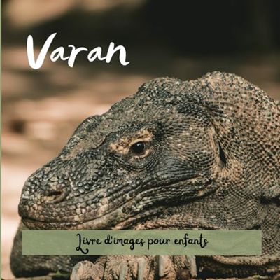 Varan: Livre d'images pour enfants