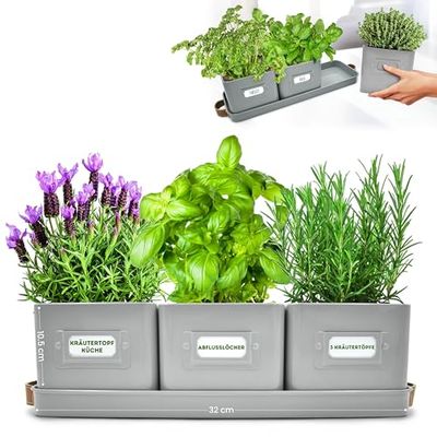 Green Thumbz Kruidenpotjes, Kruidenpotten met leren handgrepen - IIdeaal voor Bloempotten, Kruidentuin en Specerijen - Plantenpotten voor keuken vensterbank - dienblad inbegrepen (Charcoal Grey)