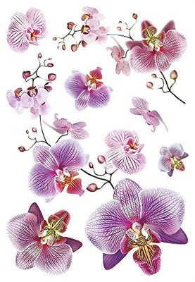 AG Design SM 3440 Mural Adhesive Disney, Autocollant, Sticker décoratif, Colorful, 42,5 x 65 cm