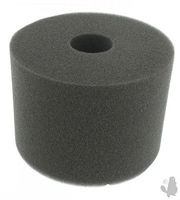 Greenstar 27742 Filter (fe3343)