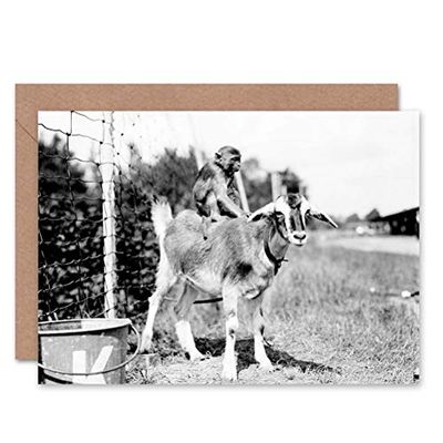 Wee Blue Coo VINTAGE PHOTOGRAPHY CHAINED MONEKY RIDING GOAT NEW BLANK GREETINGS CARD