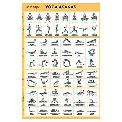 SPORTAXIS Plakat z pozycjami jogi - 64 asany jogi do treningu całego ciała - laminowany plakat treningowy w domu z kolorowymi ilustracjami - angielskie i sanskryckie nazwy