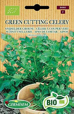 Germisem Bio Graines Céleri à couper Vert GREEN CUTTING CELERY