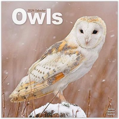 Owls 2024 Calendar
