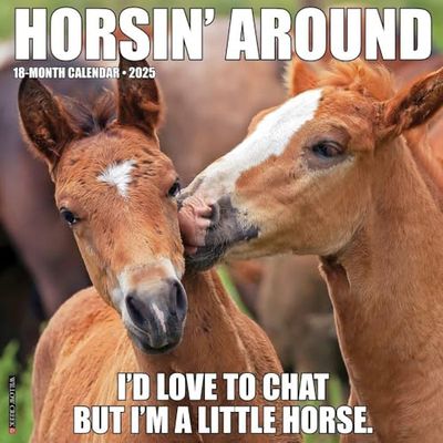 Horsin’ Around 2025 Wall