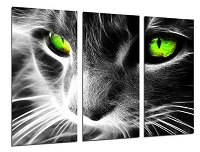 Quadro fotográfico gato olhos coloridos, animais tamanho total: 97 x 62 cm XXL, multicolorido