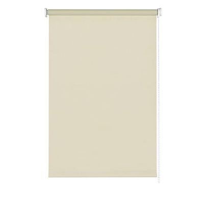 Side Roller Blind