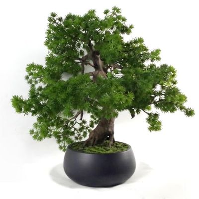 Leaf Árbol de Bonsai de Pino Artificial de 50 cm, 50cm