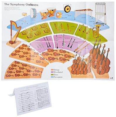 Wildgoose Education MU2201 The Symphony Orchestra Poster, 100 cm x 70 cm