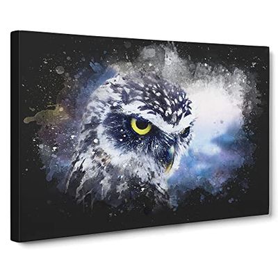 Owl In Nepal Paint Splash Modern Art Canvas Wall Art Print Ready to Hang, Framed Picture for Living Room Bedroom Home Office Décor, 20x14 Inch (50x35 cm)