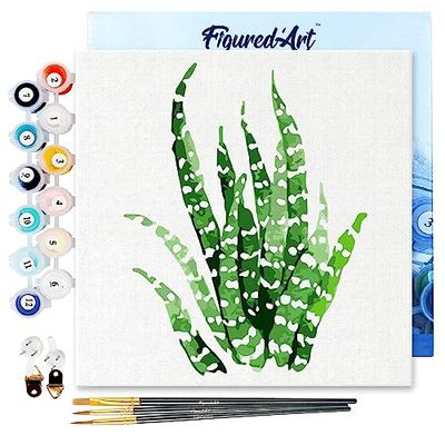 Figured'Art Mini Peinture par Numéro Adulte 20x20cm avec cadre Plante grasse - Petit Format Kit de Loisir Créatif DIY Numéro d'Art Complet