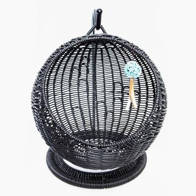 AQPET Morfeo Niche Suspendue pour Chats Chatons en Osier tressé à la Main avec Coussin mordbido Inclus, Couleur Noir, 46 x 62 cm