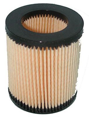 Greenstar, 5509, GreenStar 5509 filtro per AS Motor