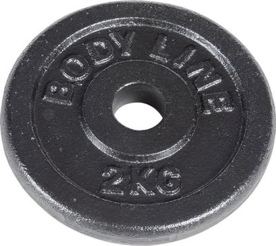 Gietijzeren schijf van 2 kg voor haltertraining, haltertraining en gewichtheffen - diameter 25 mm - voor gym, fitness, thuistraining