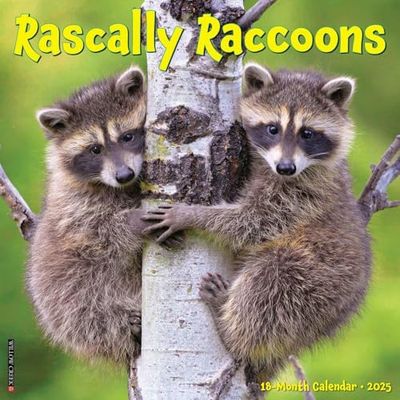 Rascally Raccoons 2025 Wall