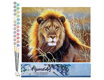 Figured'Art Peinture par Numéro Adulte Lion dans la savane - Activité Manuelle Kit de Loisir Créatif DIY Numéro d'Art Complet - 40x50cm sans châssis en bois