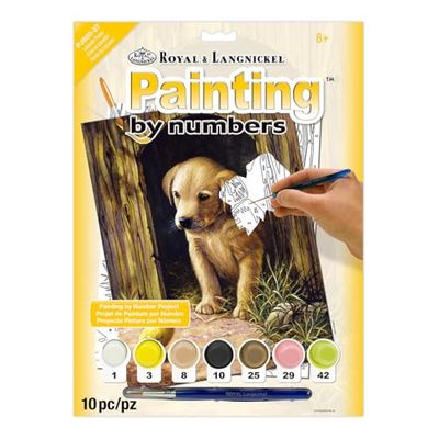 Royal & Langnickel Schilderen op Numbers A4 Size Labrador Puppy Ontworpen Schilderen Set
