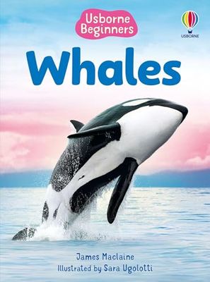 Beginners Whales