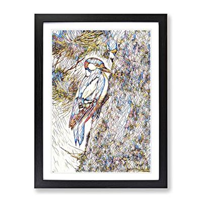 Vintage W Kuhnert Spotted Woodpecker Modern Bg Framed Wall Art Print, Ready to Hang Picture for Living Room Bedroom Home Office Décor, Black A2 (64 x 46 cm)