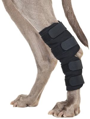 BACK ON TRACK Therapeutic Dog Hock Brace (Pair), Color: Black, Size: S (31020001)