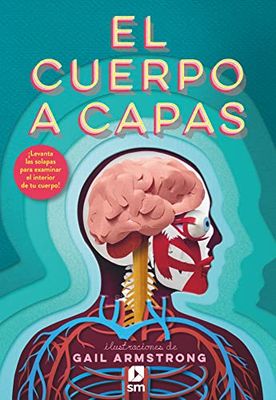 EL Cuerpo A CAPAS