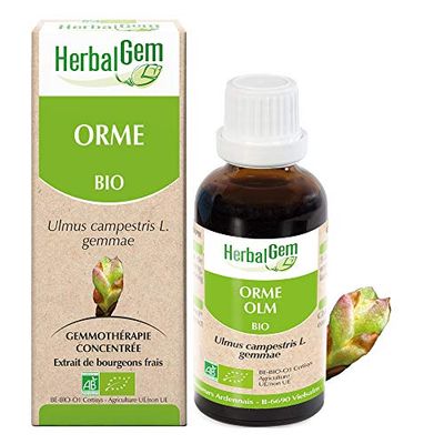 HERBALGEM - Macérât-Mère - Orme Bio - Complément Alimentaire Gemmothérapie Concentrée - Extrait De Bourgeon Frais - Pour Soin Peau - Vegan - 30 ml