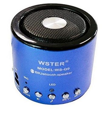 WSTER Altoparlante, mini altoparlante, bluetooth, radio FM, card micro SD e porta USB