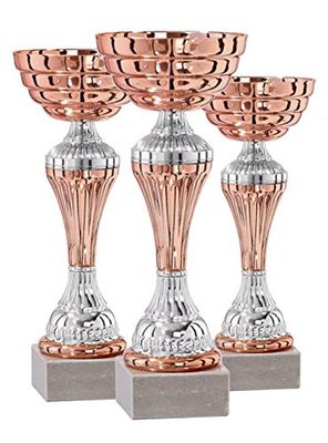 DEPICE Coppa Serie, Rosso/Argento, 20-25 cm, TRO-FS-1501