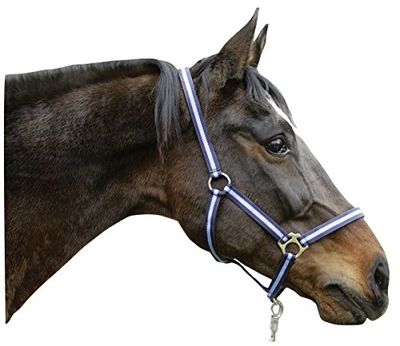 Kerbl Hippo Halsband - Blauw, Maat 00
