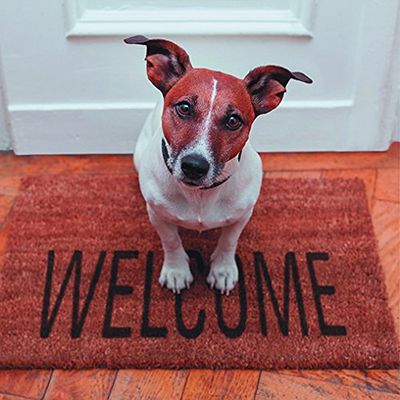VADIGRAN Welcome Hond geluksbrenger voor honden, 3D-kaart