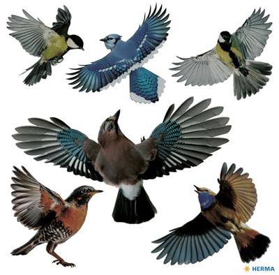 HERMA 15539 - Juego de pegatinas para ventanas (6 unidades, 30 x 30 cm, autoadhesivas, despegables y reutilizables), protección contra pájaros para ventanas, resistente a la intemperie, multicolor