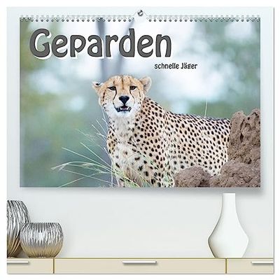 Geparden - schnelle Jäger (hochwertiger Premium Wandkalender 2025 DIN A2 quer), Kunstdruck in Hochglanz: Die schnellsten, landlebenden Raubtiere in unglaublicher Schönheit
