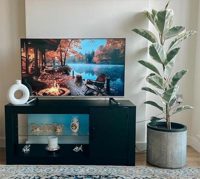 YITAHOME TV Stand LED TV Unit with Adjustable Shelves Storage Cabinet 55 inch, Wide TV Entertainment Center for Living Room, Bedroom, Dining Room, Playroom