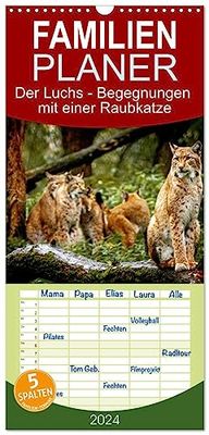 Familienplaner 2024 - Der Luchs - Begegnungen mit einer Raubkatze mit 5 Spalten (Wandkalender, 21 cm x 45 cm) CALVENDO