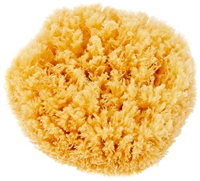 CROLL & DENECKE P180 - Spugna Naturale dal Mar Mediterraneo, qualità Premium, Dimensione 18 cm