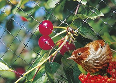 Vogelbeschermingsnet M 2 x 10