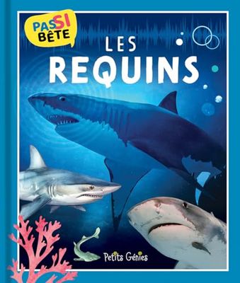 Pas si bête - Les requins
