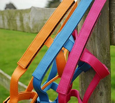 Rhinegold Field Safe Headcollar-COB-Raspberry Cuello de Cabeza, Frambuesa