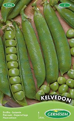 Germisem Kelvedon Semi di Piselli 100 g