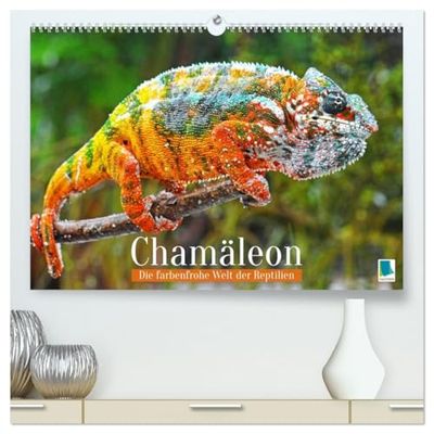 Chamäleon: Die farbenfrohe Welt der Reptilien (hochwertiger Premium Wandkalender 2026 DIN A2 quer), Kunstdruck in Hochglanz: Chamäleon: In Konkurrenz mit einem Regenbogen