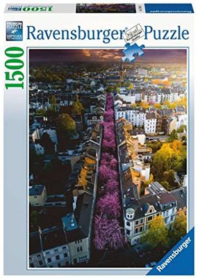 Puzzle 2D 1500 elementów: Bonn. Niemcy