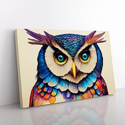 Colourful Long Eared Owl Canvas Wall Art Print Ready to Hang, Framed Picture for Living Room Bedroom Home Office Décor, 76x50 cm (30x20 Inch)