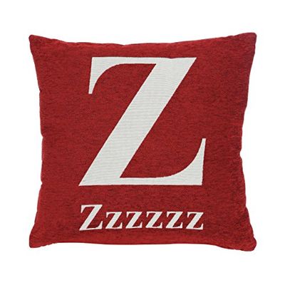 Premier Housewares Zzzzz Cushion - Chenille